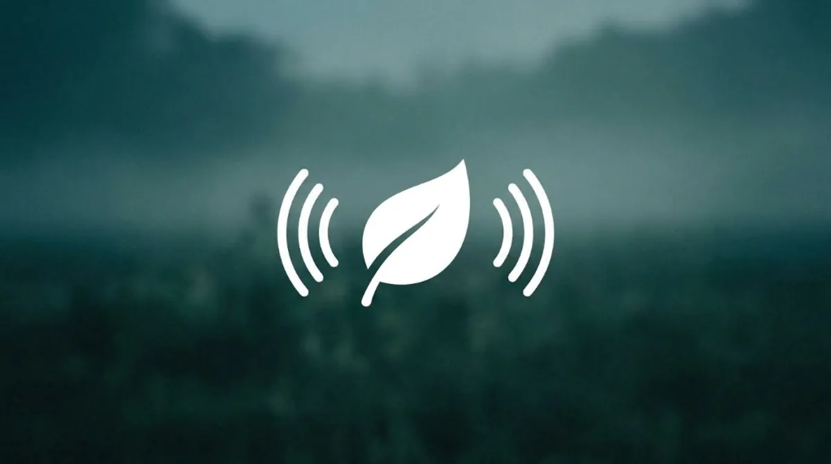 Your Landscaping Software Can Automate More Than You Think. Here's What Happens When It Can't